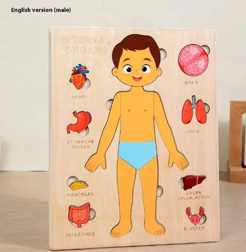 Children's Anatomy Exploration Puzzle