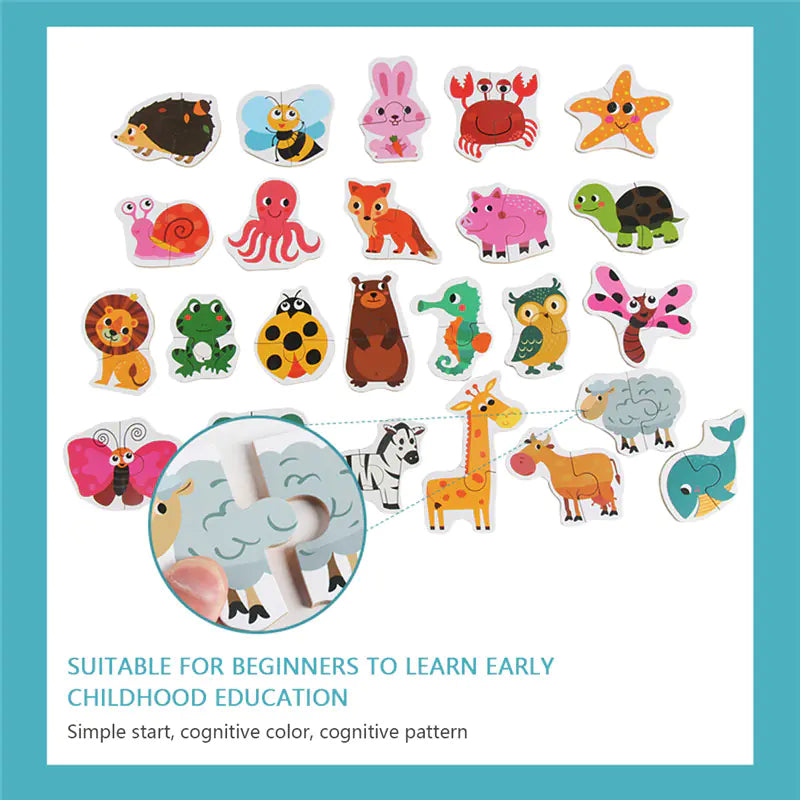 Cognitive Skills Growth Toy Map