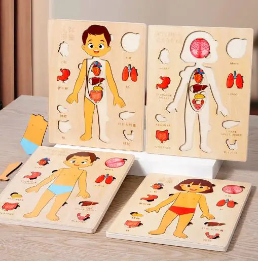 Children's Anatomy Exploration Puzzle